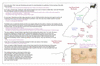 coo0d06 louisbourg_thumb.gif